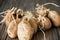 sprouted ugly organic potato on wooden background