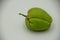 A sprouting chayote fruit bought in Oregon