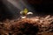 Sprouting Hope New Life, Growth, and Renewal of a Small Seedling, Generative Ai