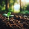 Sprouting Life: Green Seedling in Soil, Ecology Concept