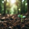 Sprouting Life: Green Seedling in Soil, Ecology Concept