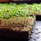 Sprouting microgreens on the hemp biodegradable mats. Generative AI