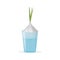 Sprouting onions. White onion in a glass cup. Growing greenery at home.
