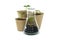 Sprouting from pot and conical glass flask with green plant