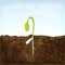 Sprouting seed of vegetable. sprout in soil with seed and underground roots system. young green shoot vector illustration. spring