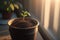 A sprouting seedling in clay container, growing on a windowsill. Generative AI illustration