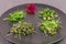 Sprouts on a gray plate on a gray background. Microgreens, radishes, mustard, arugula, peas, amaranth, antioxidant