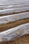 Sprouts greenhouse glass house plastic lines