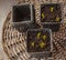 Sprouts muscari in pots for forced flowering in the gray table. flat lay