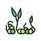 sprouts peas color icon vector illustration