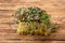 Sprouts of shiso on wooden background