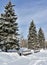 Spruce alley with benches covered with fresh fluffy snow in the city Park on a Sunny frosty morning