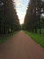 spruce alley with a sandy path in Alexander Park