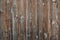 Spruce boards weathered real texture