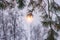 Spruce branches against the background of a cloudy sky through which sunlight breaks through