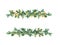 Spruce branches in decorative border. Simple Christmas tree twigs, stars. Fir, pine design