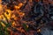 Spruce branches are on fire, close-up of an orange dangerous flame. A fragment of a fire in which trees are burned.