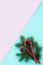 Spruce branches, red candies on a pink and blue background. Flat lay, top view, copy space, diagonal. christmas concept