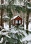 Spruce Branches With Snow Cap In Front Of Small Wooden Gazebo In A Winter Park