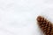 Spruce cone, isolated on a white background. A bump in the snow. Top view. Spruce cone. Picea abies. Copy space. Winter