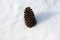 Spruce cone, isolated on a white background. A bump in the snow. Top view. Spruce cone. Picea abies. Copy space. Winter