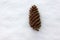 Spruce cone, isolated on a white background. A bump in the snow. Top view. Spruce cone. Picea abies. Copy space. Winter