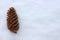 Spruce cone, isolated on a white background. A bump in the snow. Top view. Spruce cone. Picea abies. Copy space. Winter