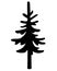 Spruce coniferous tree, evergreen plant - vector silhouette for stencil, logo