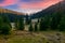 Spruce forest in foggy valley at reddish sunrise