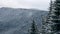 Spruce and pine tree crowns and branches covered with snow. Winter day in snowy fir tree forest, Treetops with mountains