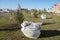 Spruce is planted next to a bag of soil in a wasteland in a residential area. Greening the city of Krasnoyarsk