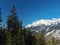 Spruce tree forest and french Savoy alpes mountain top in sunny