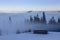 Spruce trees and Christmas trees breaking through clouds and fog in winter mountains