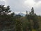 Spruce trees in Powerscourt garden and Sugar loaf mountain in the background