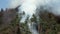 Spruce trees at risk, dangerous smoke in forest