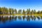 Spruces on a narrow isthmus and their reflections on lake SeitenjÃ¤rvi, Finland