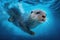 spry otter diving into clear blue pool, its fur shining and wet