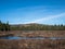 Spuce Bog Boardwalk