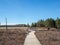 Spuce Bog Boardwalk