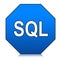 Sql database Web language Programming for web designing Logo Monogram symbol