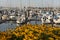 Squalicum Harbor in Bellingham, Washington, is Decorated with Spring Flowers Along the Promenade.