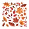 Square backdrop with textured fallen tree autumn leaves or dried foliage, acorns, nuts, berries on white background