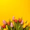 Square background with a bouquet of tulips on an yellow background. Flat lay, top view with copyspace.