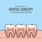 Square banner cross-section structure inside tooth illustration