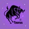 A square banner.Zodiac sign Taurus, black on purple background a