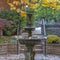 Square Beautiful tiered fountain on a garden with lush trees and plants in autumn