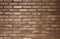 A square brown brick wall interior background sets the scene for the show.