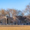 Square Charming houses and tall leafless trees under blue sky on a sunny day