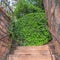 Square Close up of outdoor stairs amid stone brick retaining walls that leads to a home