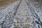 Square Close up of pathway paved with gray stone bricks amid deep layer of fresh